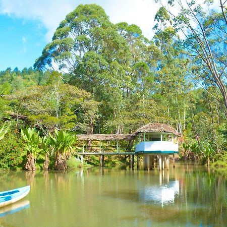 Andasibe Cyperus Hotel Moramanga Luaran gambar