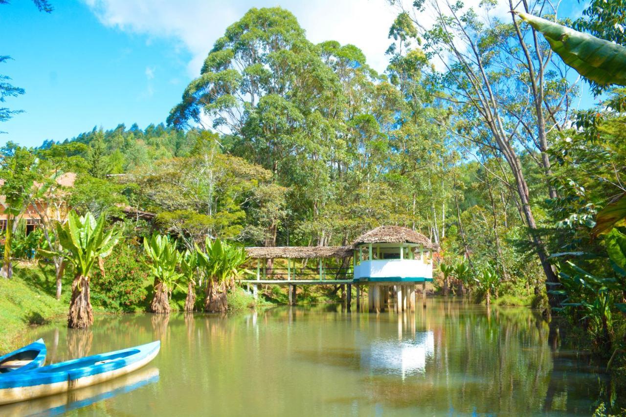 Andasibe Cyperus Hotel Moramanga Luaran gambar